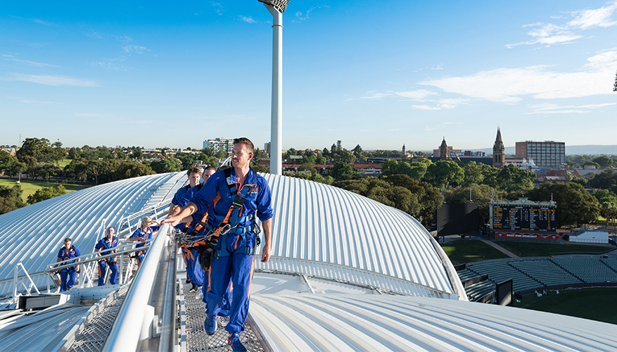 people walking on roof admiring view